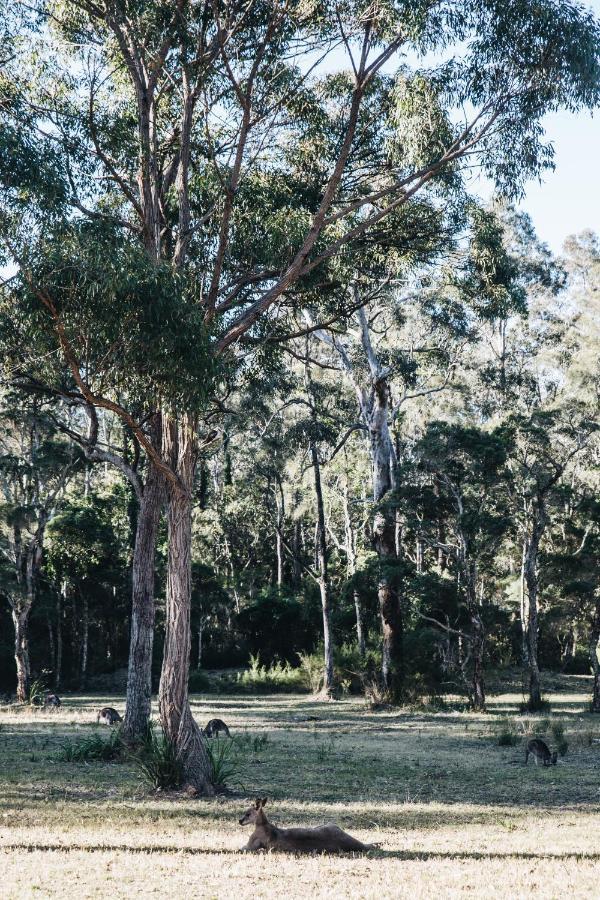 Worrowing Jervis Bay Hotell Huskisson Eksteriør bilde
